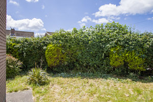 Photo 9- click for photo gallery